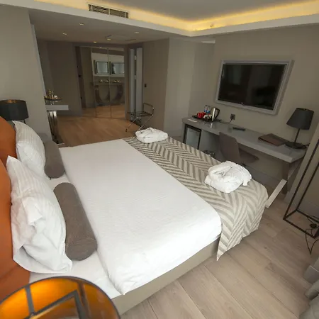 Manesol Old Bosphorus Hotel Provincia di Istanbul