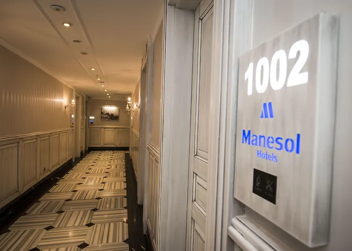 Hotel Manesol Old Bosphorus